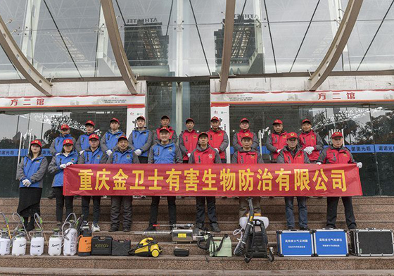 散白蟻侵害現(xiàn)代建筑，如何有效進(jìn)行白蟻防治處理